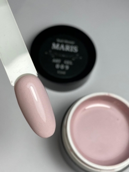 Preview: Art Gel 009